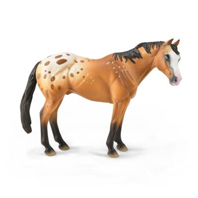 Appaloosa Stallion Light Brown
