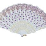 Hand Fan