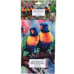 Australian Bird & Flora Lorikeet & Bottlebrush Tea Towel