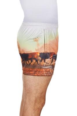 Helicopter Men's Short
