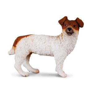 Jack Russell Terrier