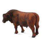 Red Angus Bull