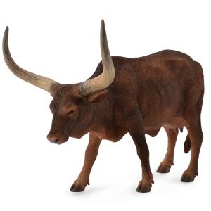 Ankole-Watusi Cow