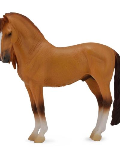 Campolina Stallion Red Dun