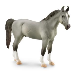 Marwari Stallion Grey