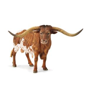 Texas longhorn