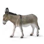 Donkey