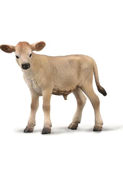 Jersey Calf