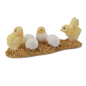 Chicks Hatching